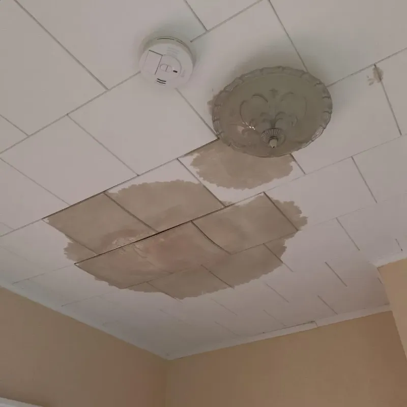 Ceiling Water Damage Repair in Odessa, MO
